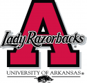 Arkansas Razorbacks 1998-2000 Alternate Logo Print Decal