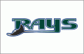 Tampa Bay Rays 2001-2007 Jersey Logo 01 Iron On Transfer