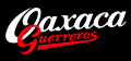 Oaxaca Guerreros 2000-Pres Wordmark Logo 2 Print Decal