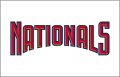 Washington Nationals 2005-2010 Jersey Logo Iron On Transfer