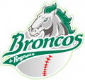 Reynosa Broncos 2009-Pres Primary Logo Iron On Transfer