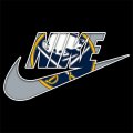 Buffalo Sabres Nike logo Print Decal