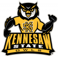 Kennesaw State Owls 2012-Pres Mascot Logo 01 Print Decal