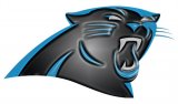 Carolina Panthers Plastic Effect Logo Iron On Transfer