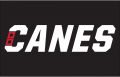 Carolina Hurricanes 2018 19-Pres Wordmark Logo Print Decal