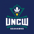 NC-Wilmington Seahawks 2015-Pres Alternate Logo 02 Iron On Transfer