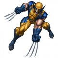 Wolverine Logo 01 Iron On Transfer
