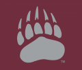 Montana Grizzlies 1996-Pres Alternate Logo 07 Iron On Transfer