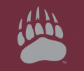 Montana Grizzlies 1996-Pres Alternate Logo 07 Print Decal