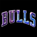 Galaxy Chicago Bulls Logo Print Decal