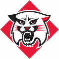 Davidson Wildcats 2010-Pres Primary Logo Iron On Transfer