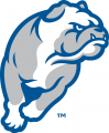 Drake Bulldogs 2015-Pres Secondary Logo Print Decal