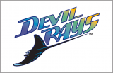 Tampa Bay Rays 1998-2000 Jersey Logo 02 Iron On Transfer