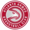 Atlanta Hawks Plastic Effect Logo Print Decal