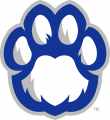 Eastern Illinois Panthers 2015-Pres Alternate Logo 10 Iron On Transfer