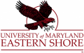 Maryland-Eastern Shore Hawks 2007-Pres Alternate Logo 02 Iron On Transfer