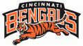 Cincinnati Bengals 1997-2003 Wordmark Logo 01 Iron On Transfer