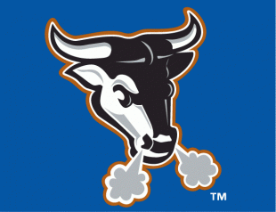 Durham Bulls 2000-2012 Cap Logo Print Decal