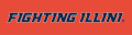 Illinois Fighting Illini 2014-Pres Wordmark Logo 10 Iron On Transfer