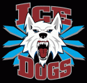 Fairbanks Ice Dogs 2003 04-Pres Alternate Logo Iron On Transfer