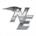 New England Patriots Silver Logo Print Decal