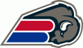 Buffalo Bills 2002 Unused Logo Iron On Transfer