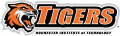 RIT Tigers 2004-Pres Secondary Logo Print Decal