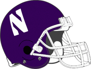 Northwestern Wildcats 1981-1992 Helmet Iron On Transfer