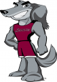 Southern Illinois Salukis 2006-2018 Mascot Logo 07 Iron On Transfer