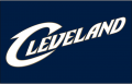 Cleveland Cavaliers 2005 06-2009 10 Jersey Logo Iron On Transfer