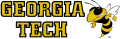 Georgia Tech Yellow Jackets 1991-Pres Wordmark Logo Iron On Transfer