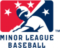 Minor League Baseball 2008-Pres Primary Logo Print Decal