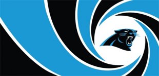 007 Carolina Panthers logo Iron On Transfer