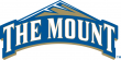 Mount St. Marys Mountaineers