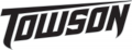 Towson Tigers 2004-Pres Wordmark Logo 01 Print Decal