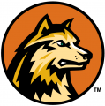 Wright State Raiders 2001-Pres Alternate Logo 02 Iron On Transfer