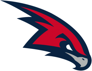 Atlanta Hawks 2007-2014 Secondary Logo Print Decal
