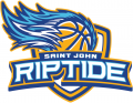 Saint John Riptide 201617-Pres Primary Logo Iron On Transfer