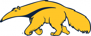 California-Irvine Anteaters 2014-Pres Alternate Logo Iron On Transfer