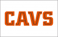 Cleveland Cavaliers 1994 95-1996 97 Jersey Logo Iron On Transfer
