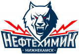 Neftekhimik Nizhnekamsk 2017-Pres Primary Logo Iron On Transfer