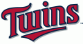 Minnesota Twins 2010-Pres Wordmark Logo Print Decal