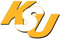Kennesaw State Owls 2000-2011 Wordmark Logo 01 Iron On Transfer