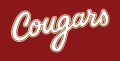 College of Charleston Cougars 2013-Pres Wordmark Logo 05 Print Decal