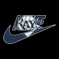 Tampa Bay Rays Nike logo Print Decal