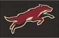Arizona Coyotes 2008 09-2013 14 Jersey Logo Print Decal