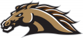 Western Michigan Broncos 1998-2015 Secondary Logo 01 Print Decal