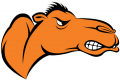 Campbell Fighting Camels 2005-Pres Partial Logo Print Decal