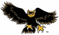 Kennesaw State Owls 1992-2011 Alternate Logo 02 Print Decal