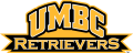 UMBC Retrievers 2010-Pres Wordmark Logo Print Decal